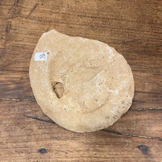 Pattern: Vintage French Fossil Stone – Curiosité Göteborg | Fransk vintageinredning från Curiosité