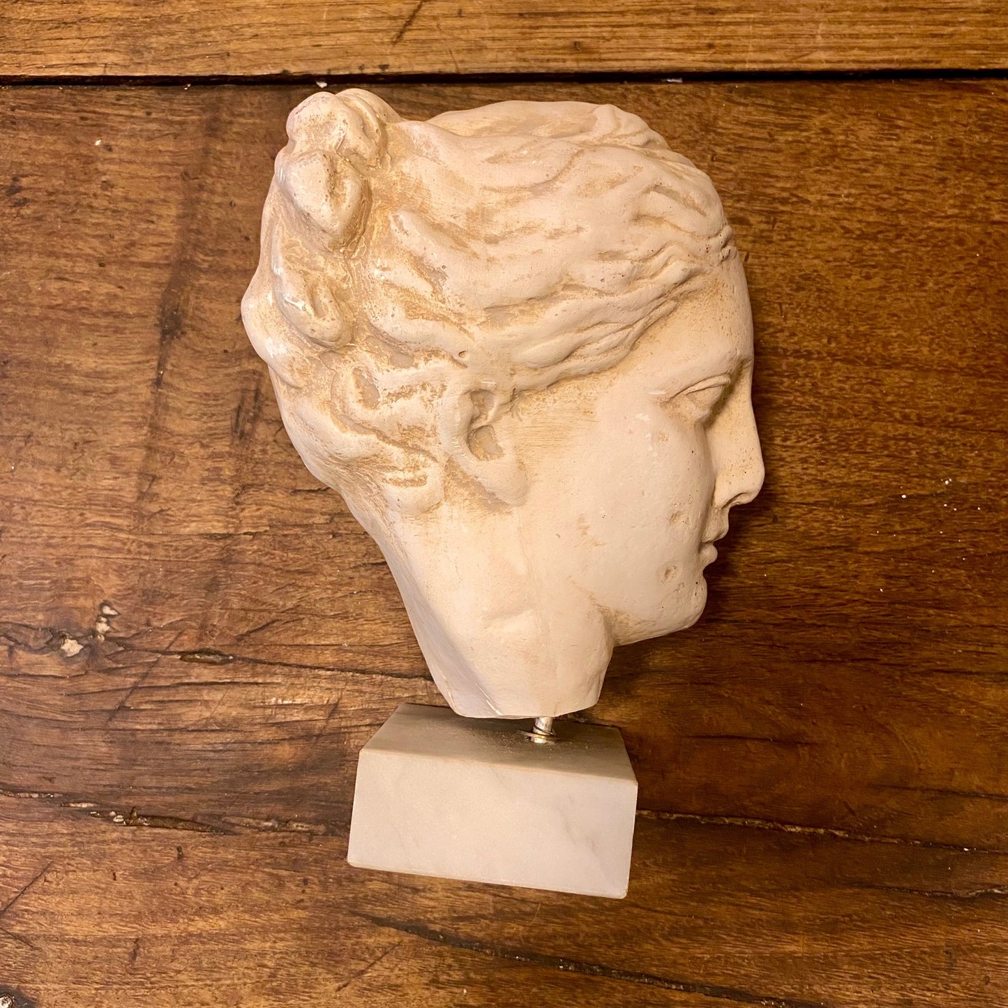 Vintage Plaster Bust of Hygeia — Goddess of Health – Curiosité Göteborg