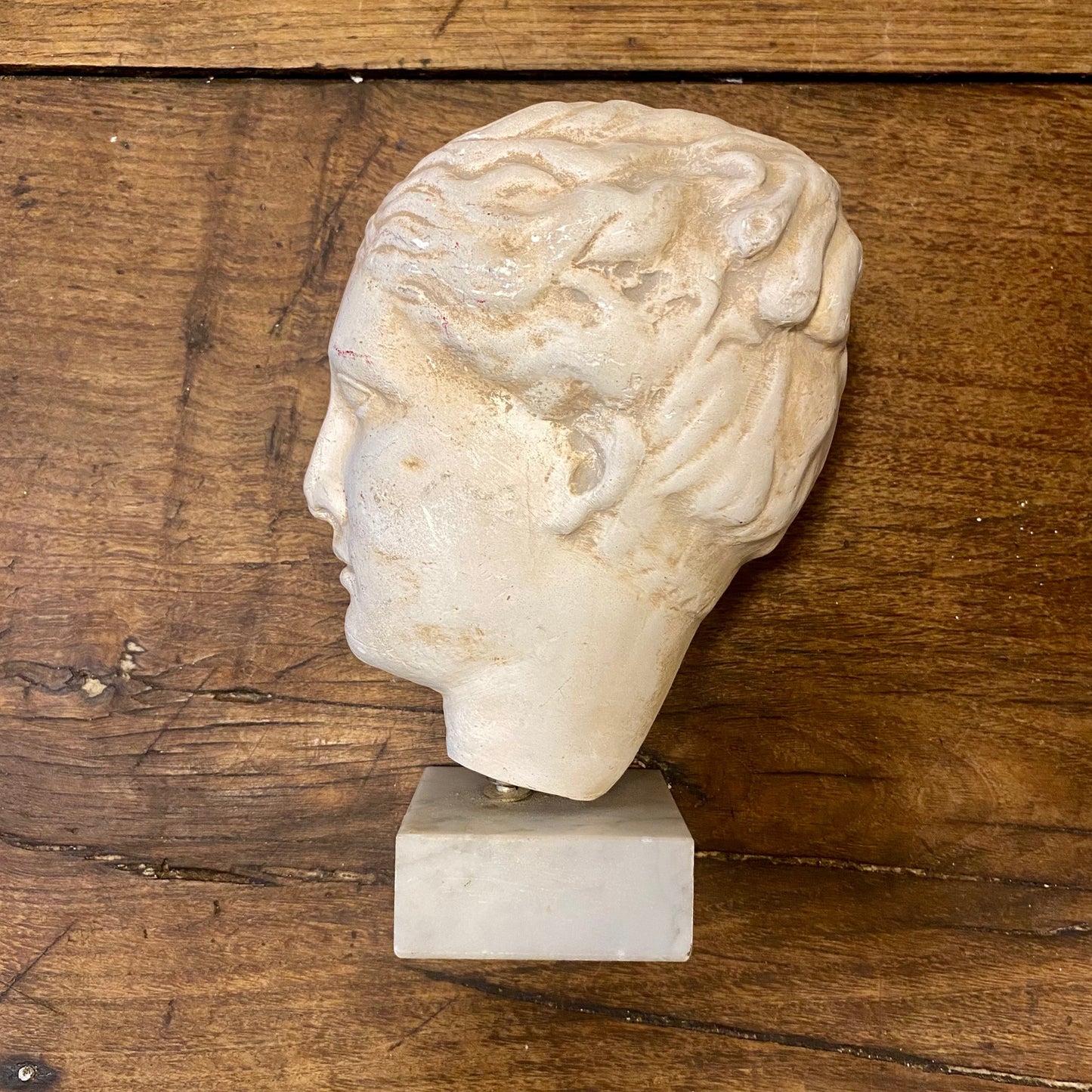 Vintage Plaster Bust of Hygeia — Goddess of Health – Curiosité Göteborg