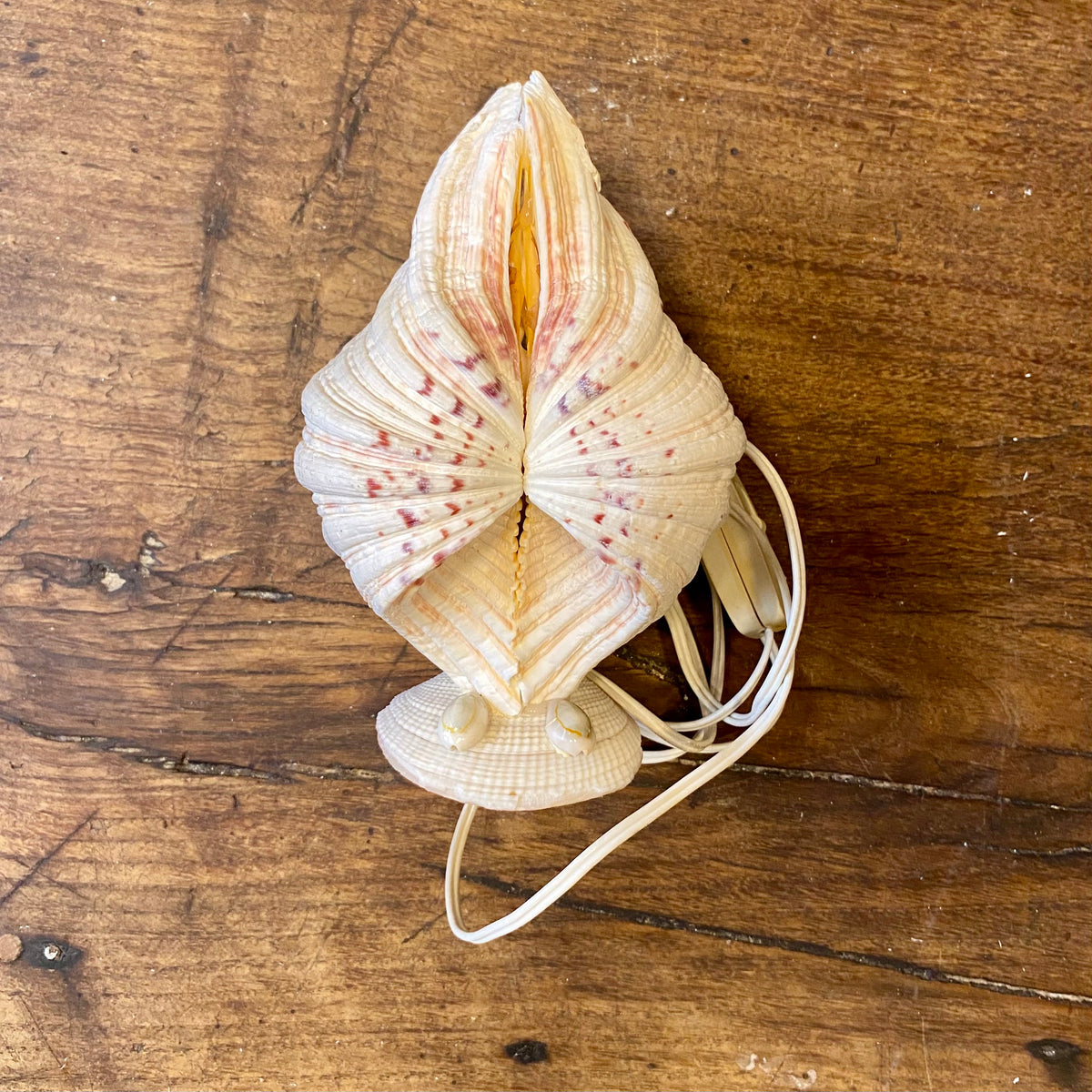 Vintage Shell Table Lamp – Natural Seashell