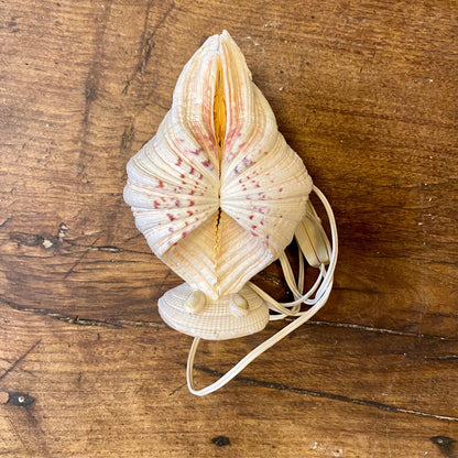 Vintage Shell Table Lamp – Natural Seashell
