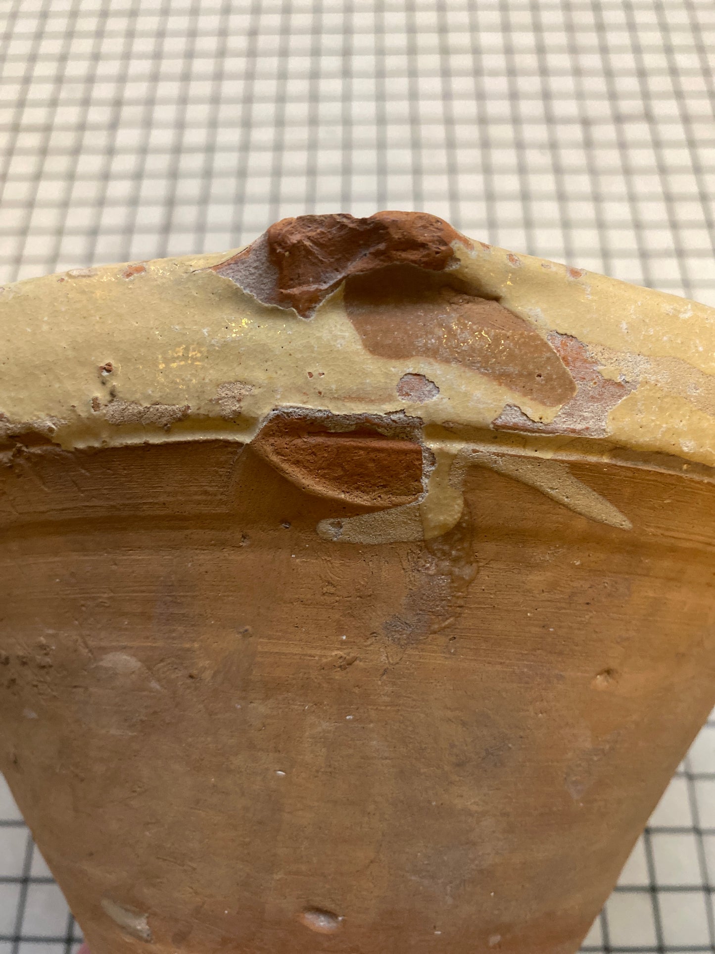 Provençal Tian Bowl