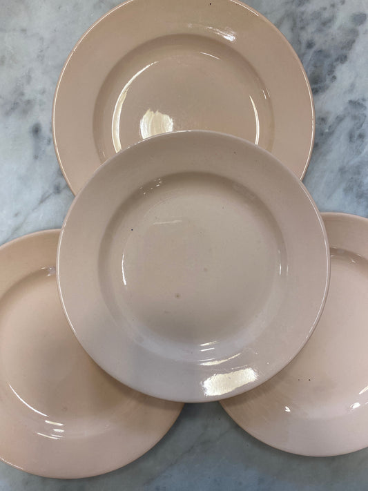 Diary pink starter plates