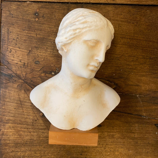 Vintage Classical Bust – 29 cm