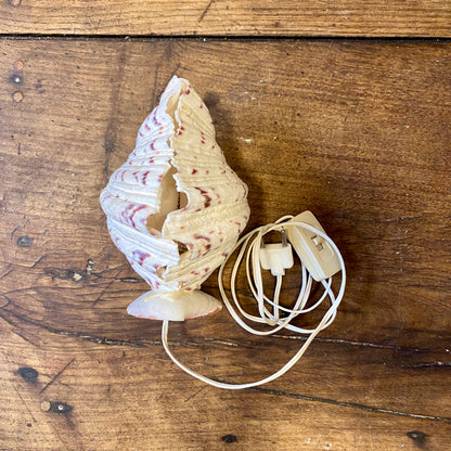 Vintage Shell Table Lamp – Natural Seashell