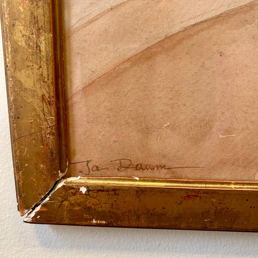 Framed Floral Watercolour Signed Jan Daum