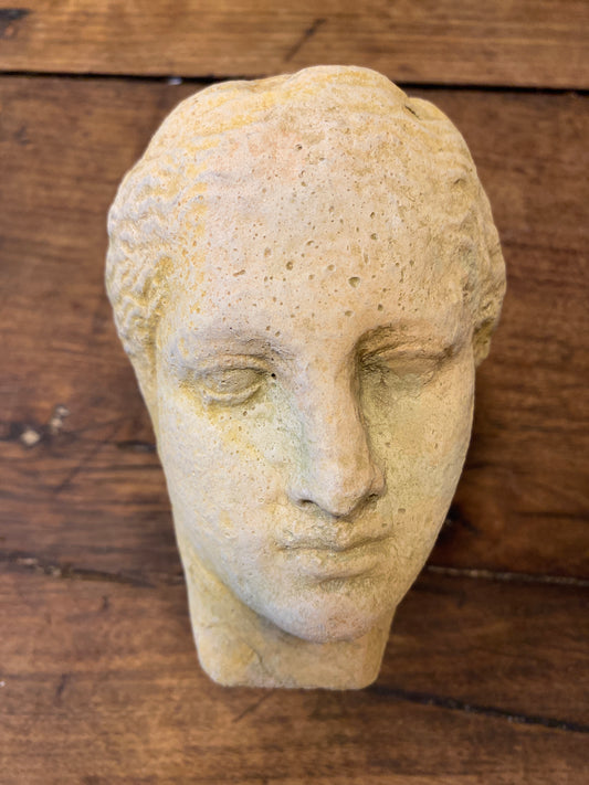 French Plaster Bust Fragment