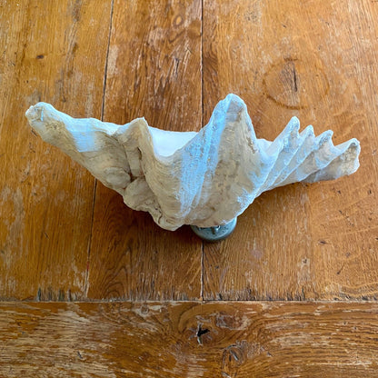 Pattern: Vintage French Clam Shell – Curiosité Göteborg | Fransk vintageinredning från Curiosité