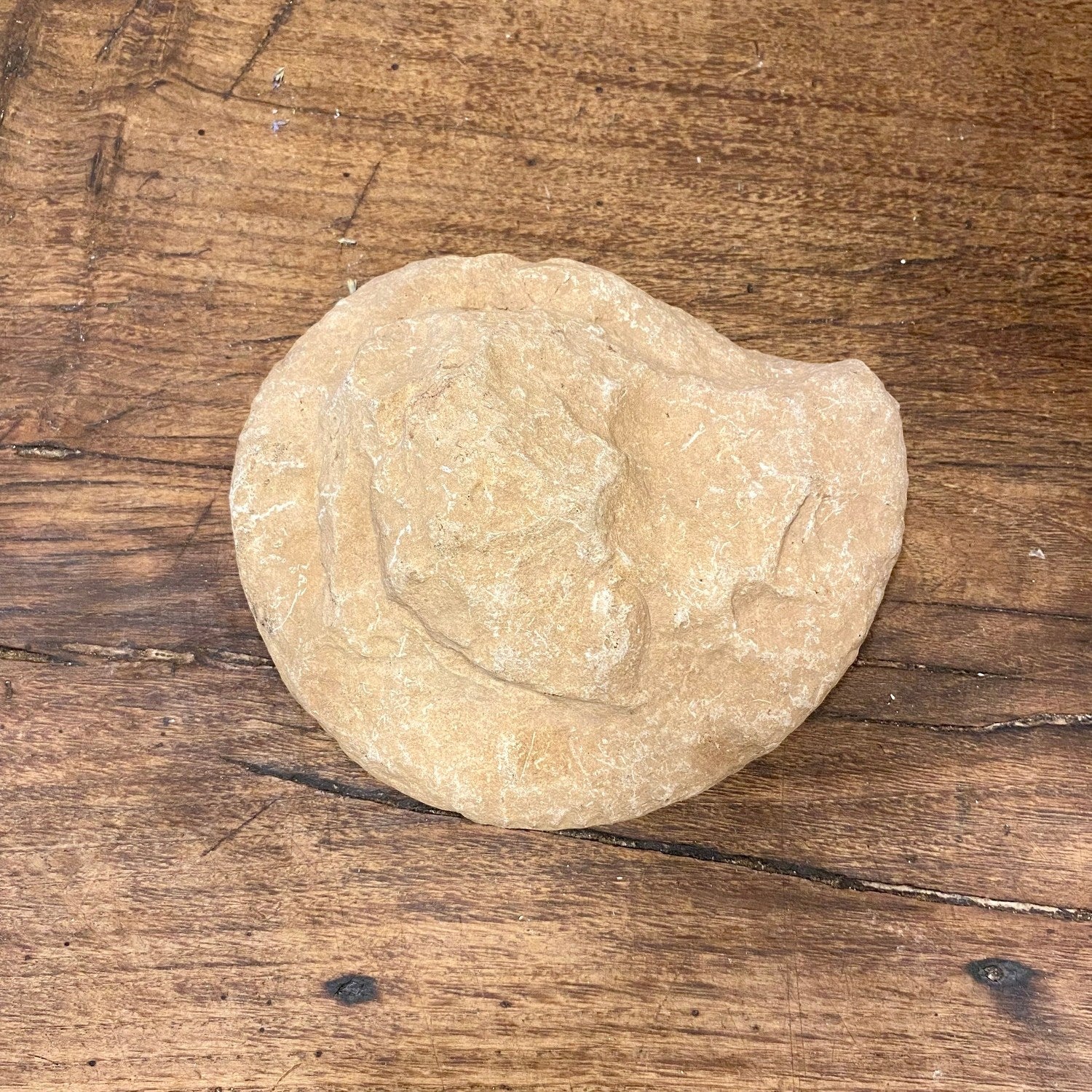 Pattern: Vintage French Fossil Stone – Curiosité Göteborg | Fransk vintageinredning från Curiosité