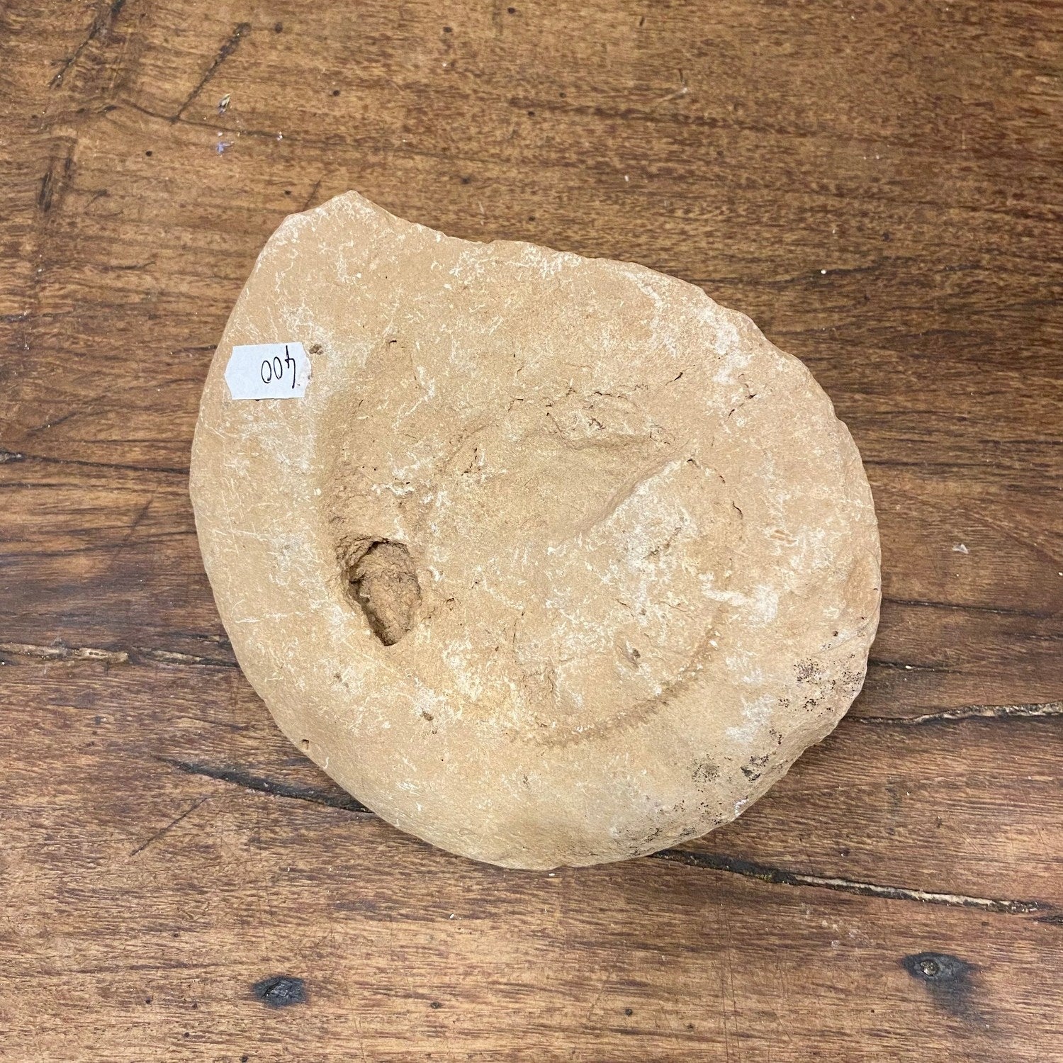 Pattern: Vintage French Fossil Stone – Curiosité Göteborg | Fransk vintageinredning från Curiosité