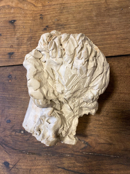 Pattern: Vintage French Plaster Bust – Curiosité Göteborg | Fransk vintageinredning från Curiosité